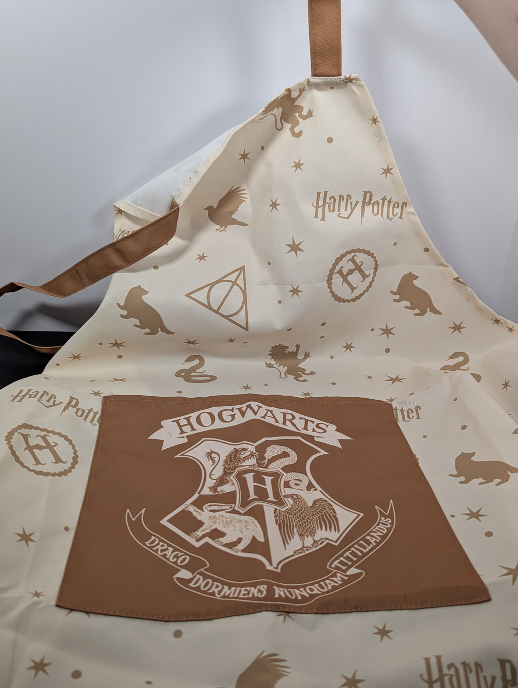 Wizard School Apron