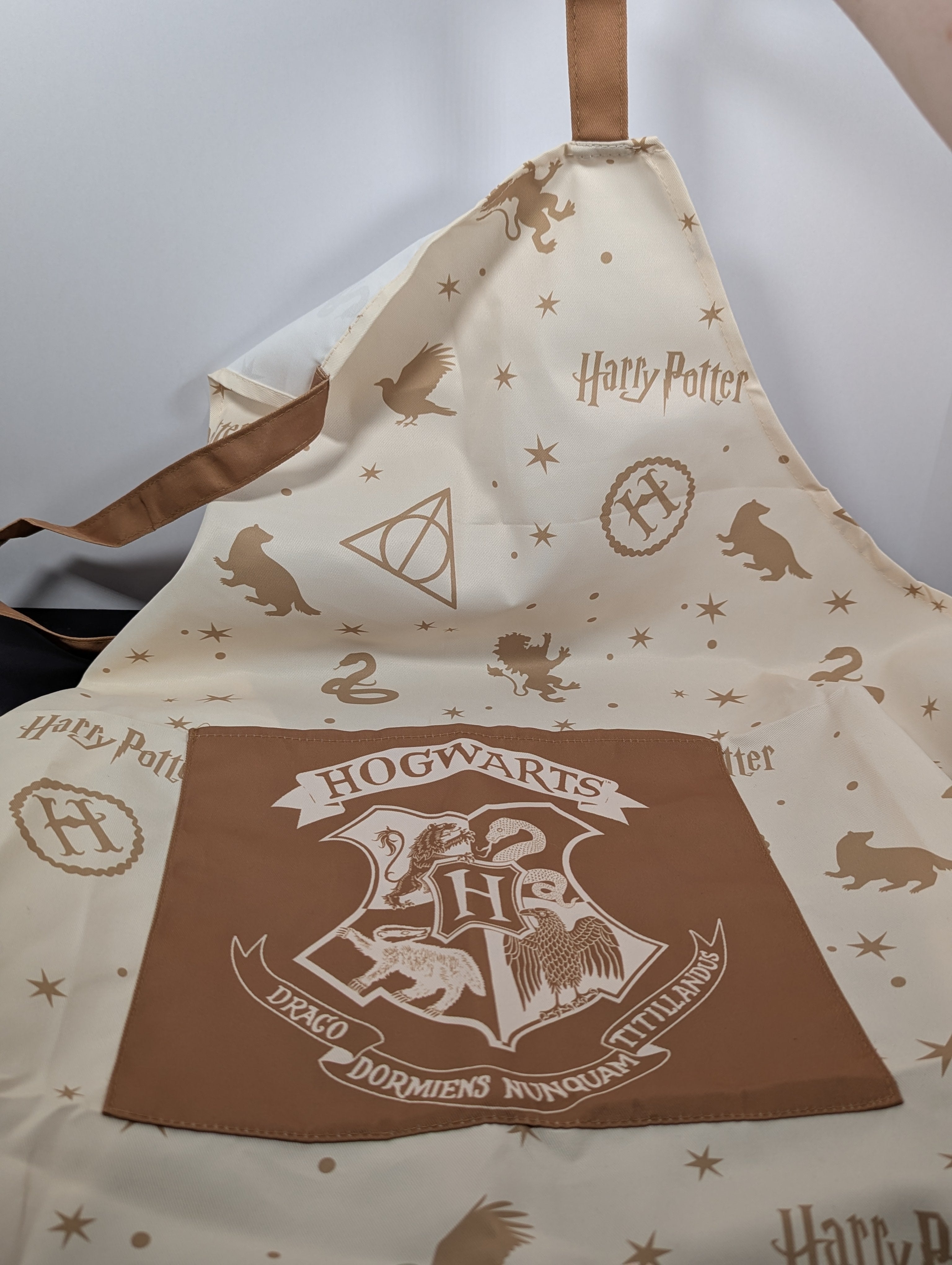 Wizard School Apron
