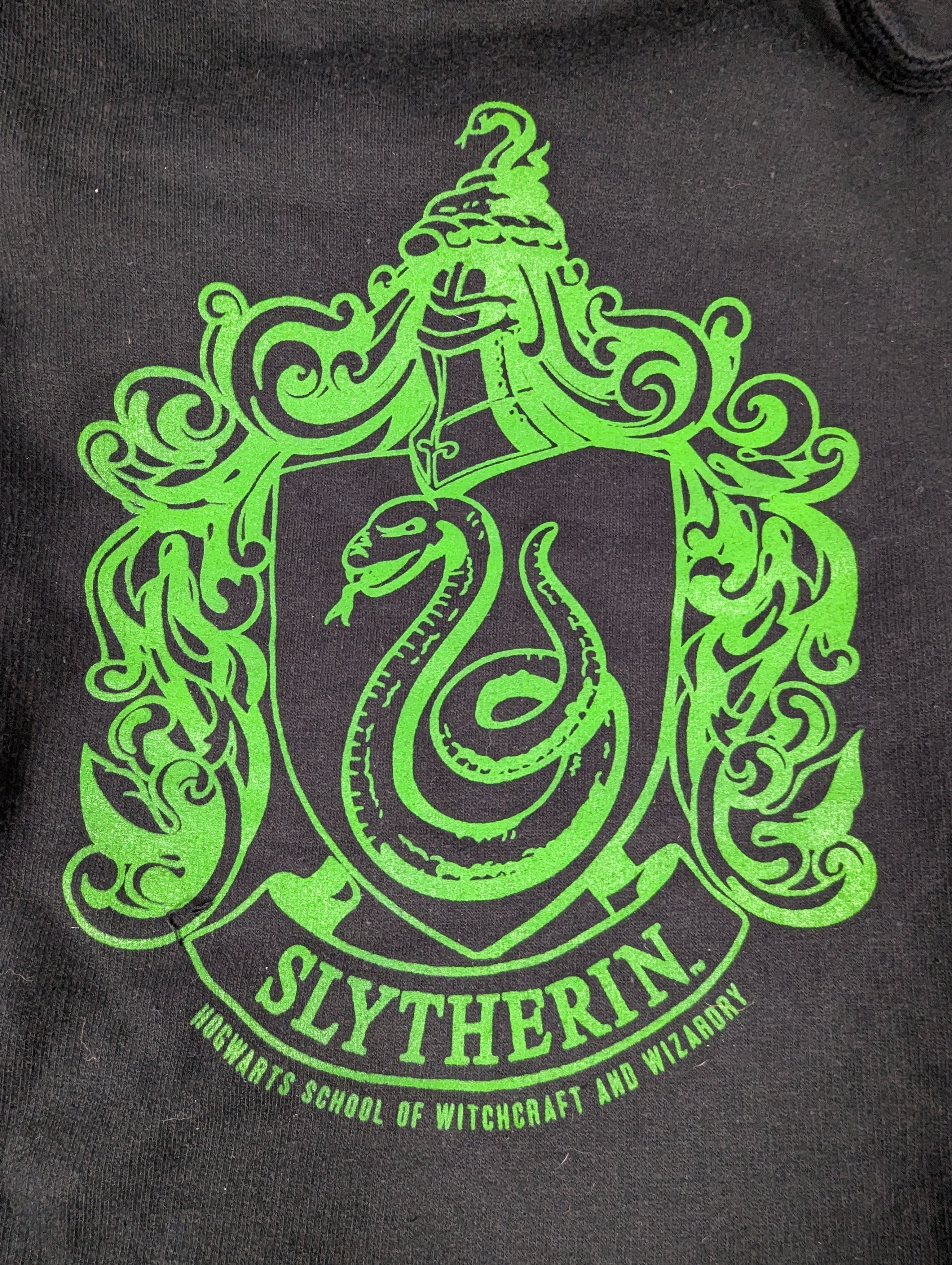 Harry Potter Black Slytherin Hoodie - Adult Small