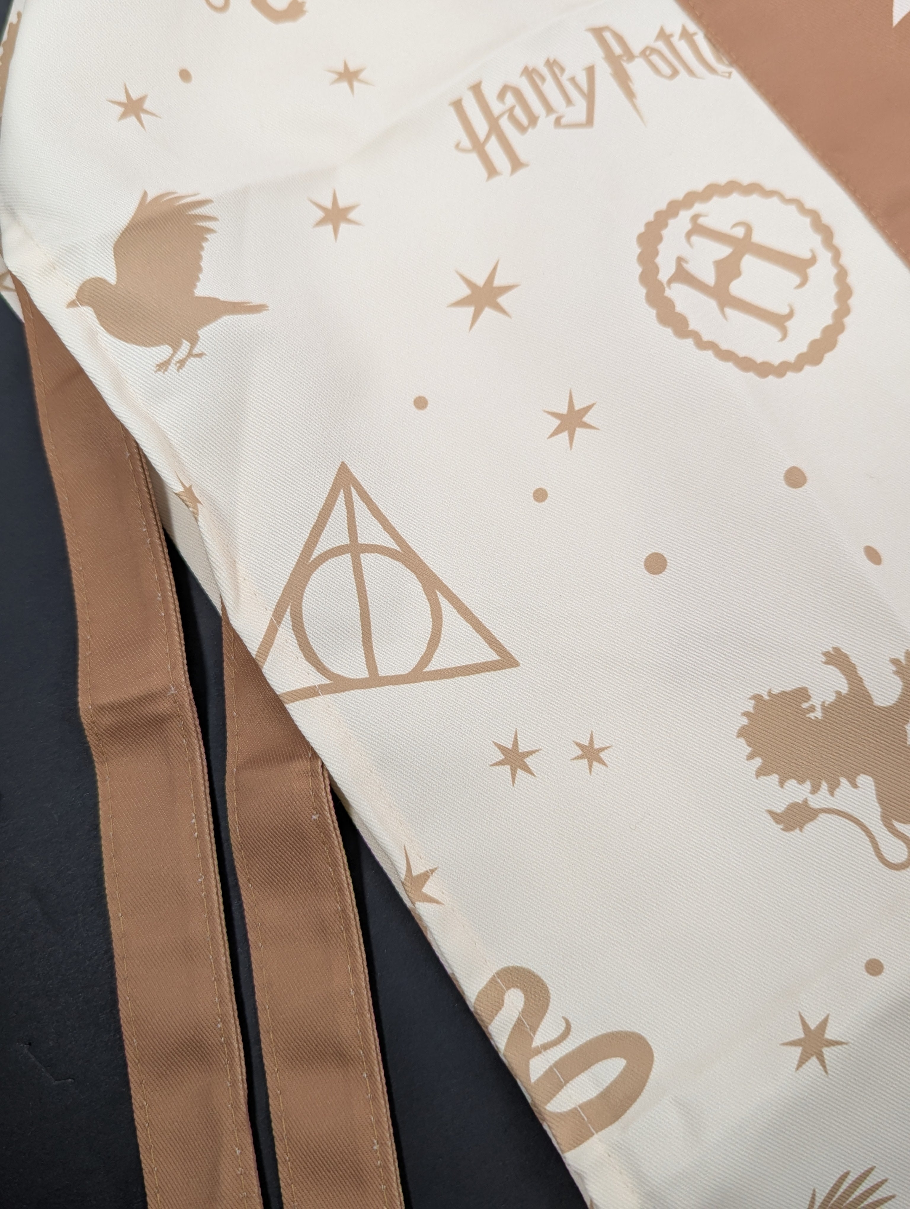 Wizard School Apron