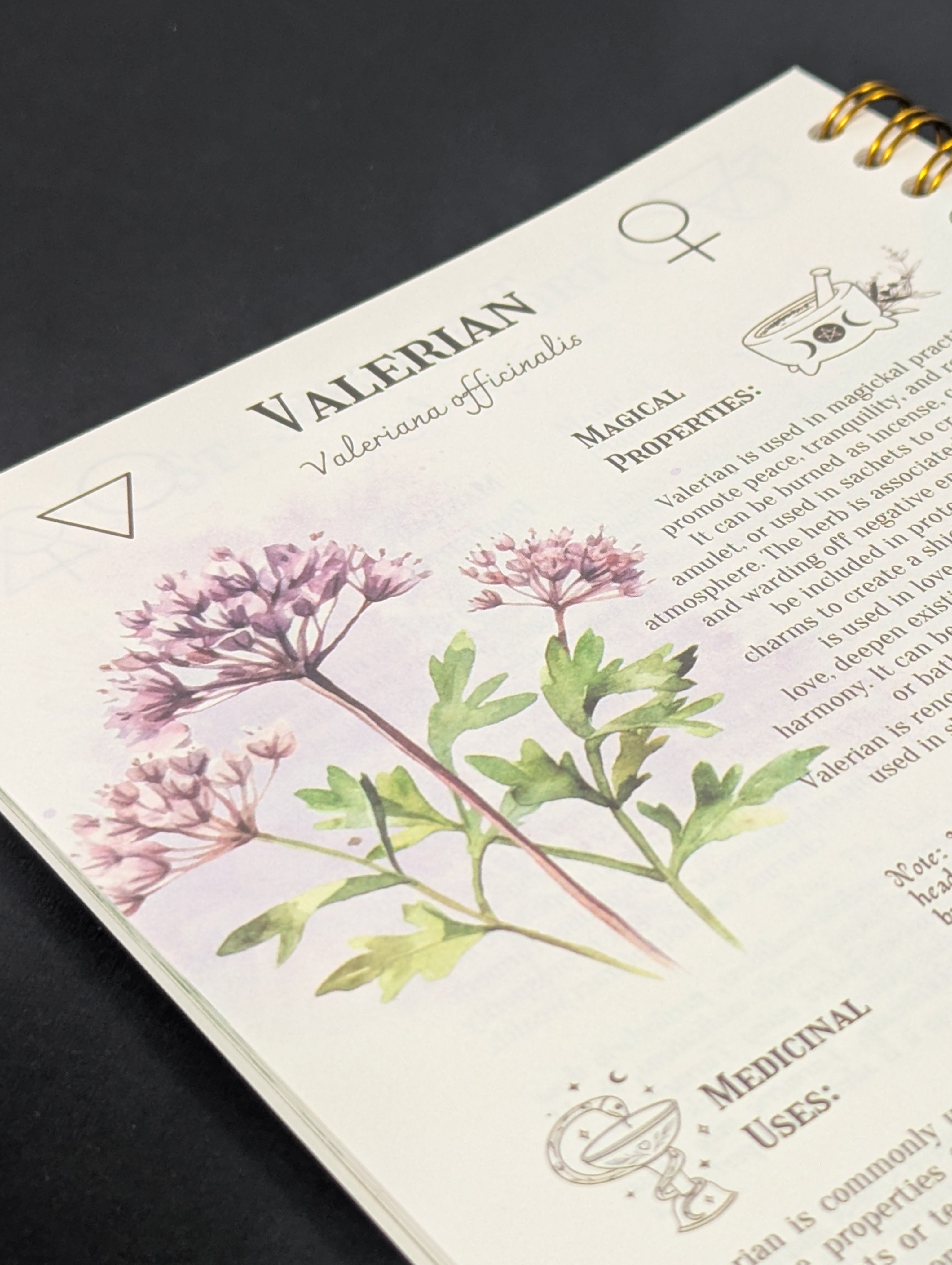 The Complete Home Apothecary Book