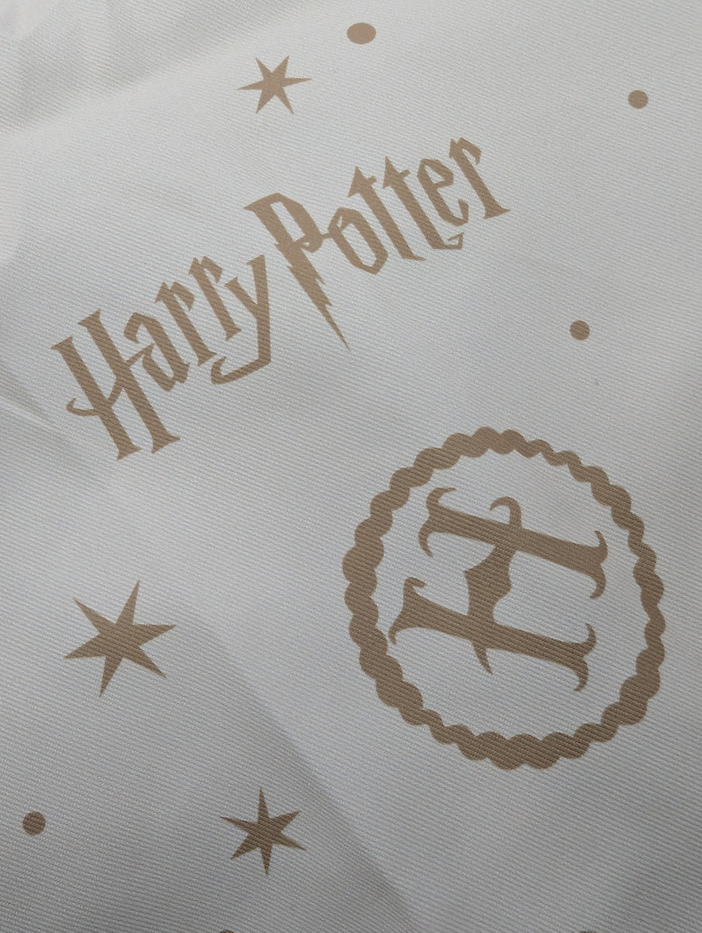 Wizard School Apron