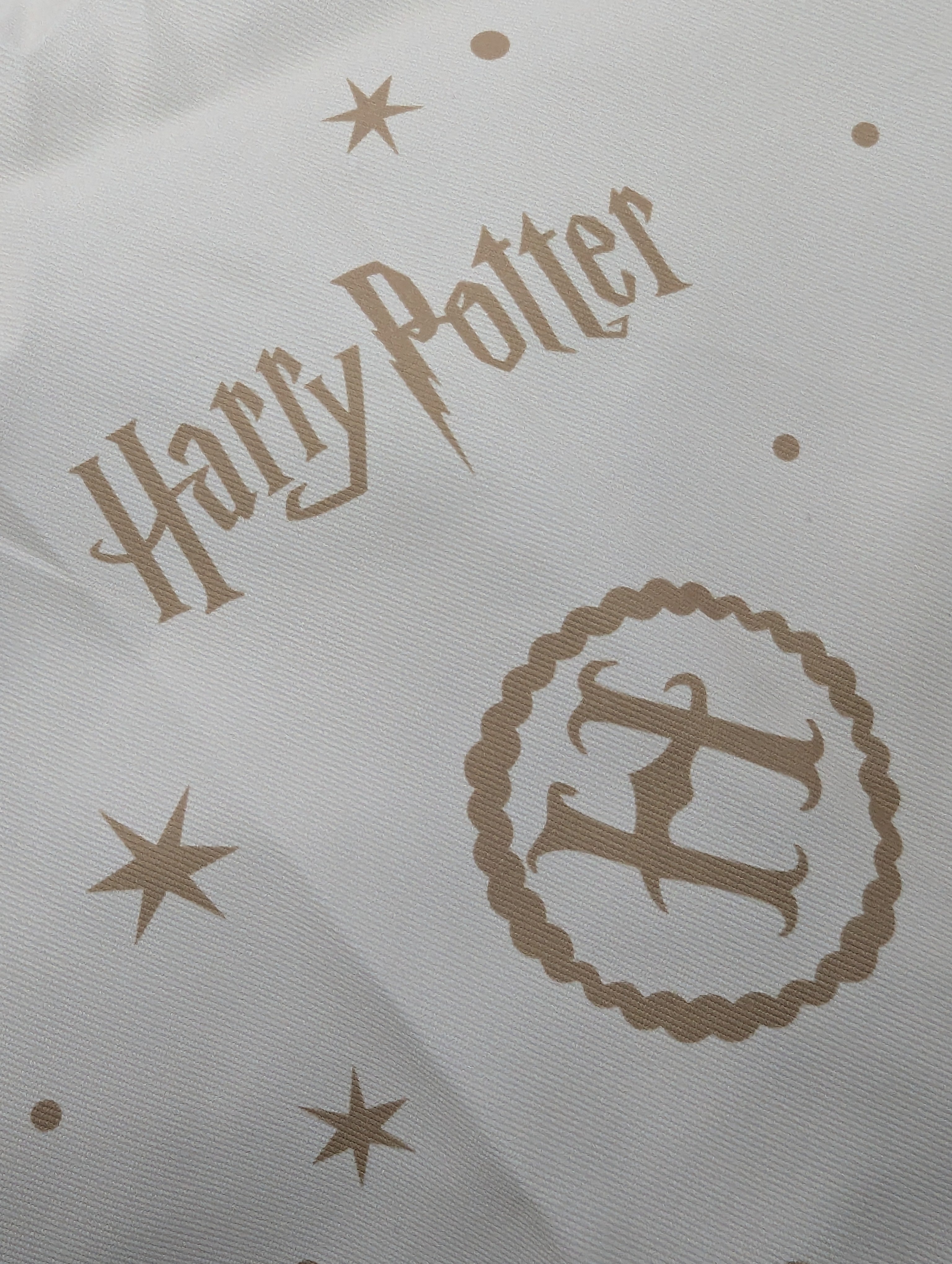 Wizard School Apron