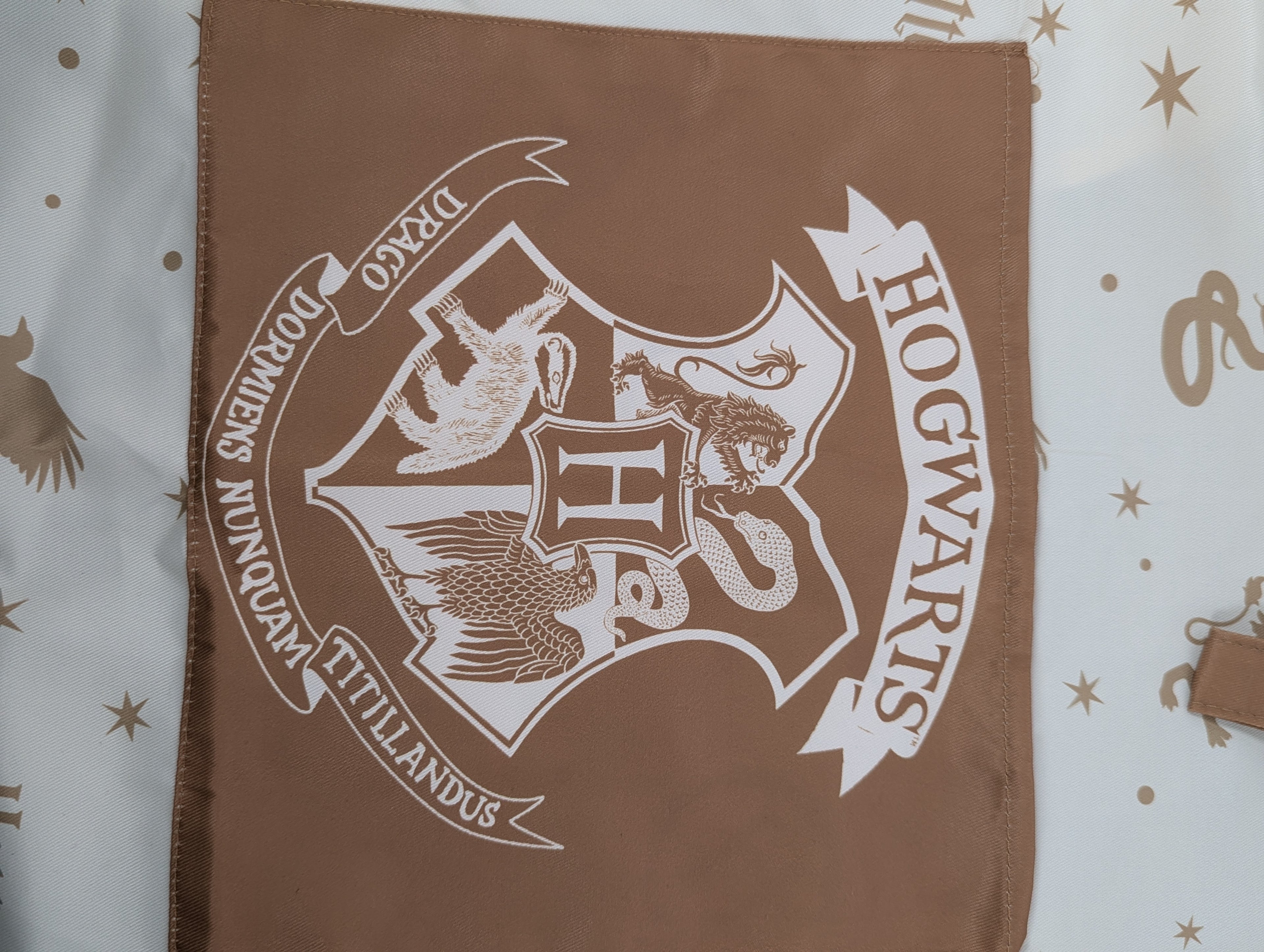 Wizard School Apron