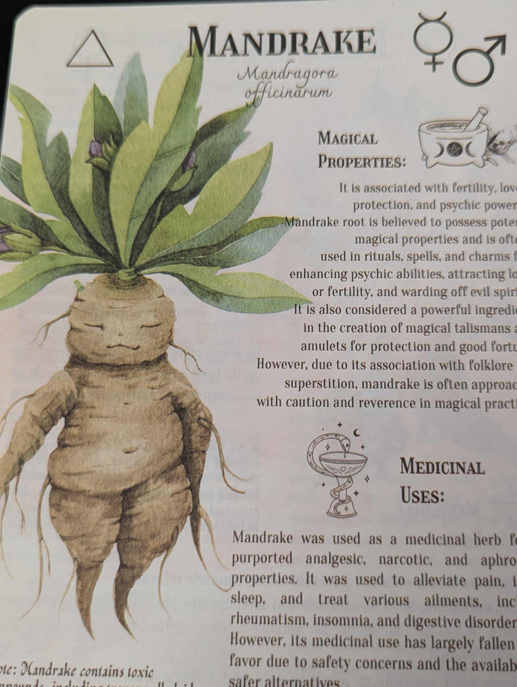 The Complete Home Herbal Handbook