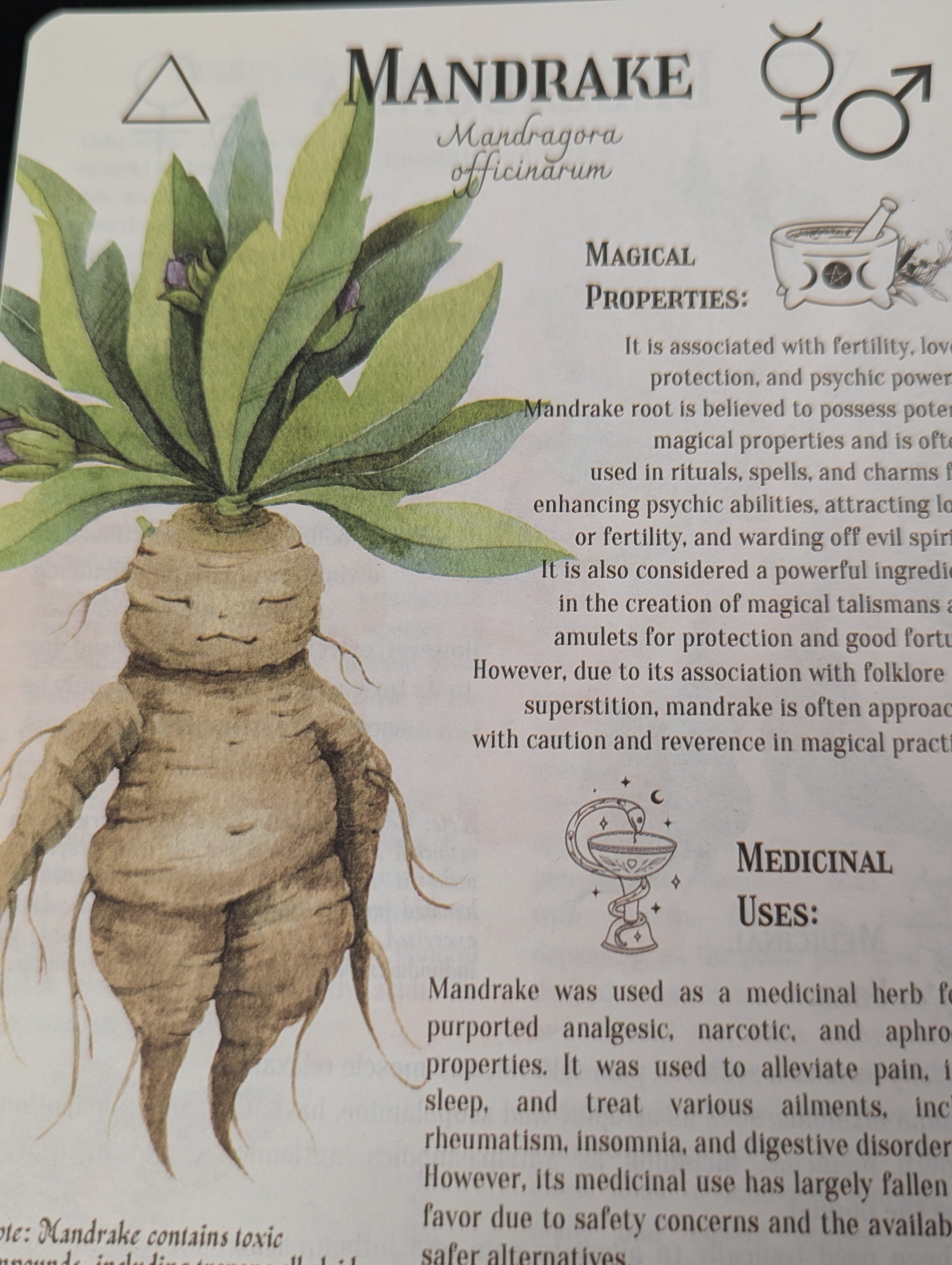The Complete Home Herbal Handbook